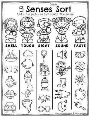 5 senses worksheet free printable 5 senses worksheet free printable