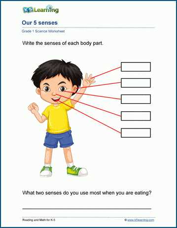 5 senses worksheet free printable 5 senses worksheet free printable