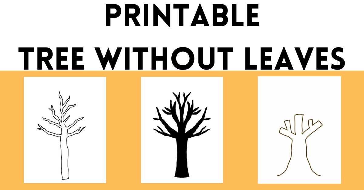 blank tree printable blank tree printable