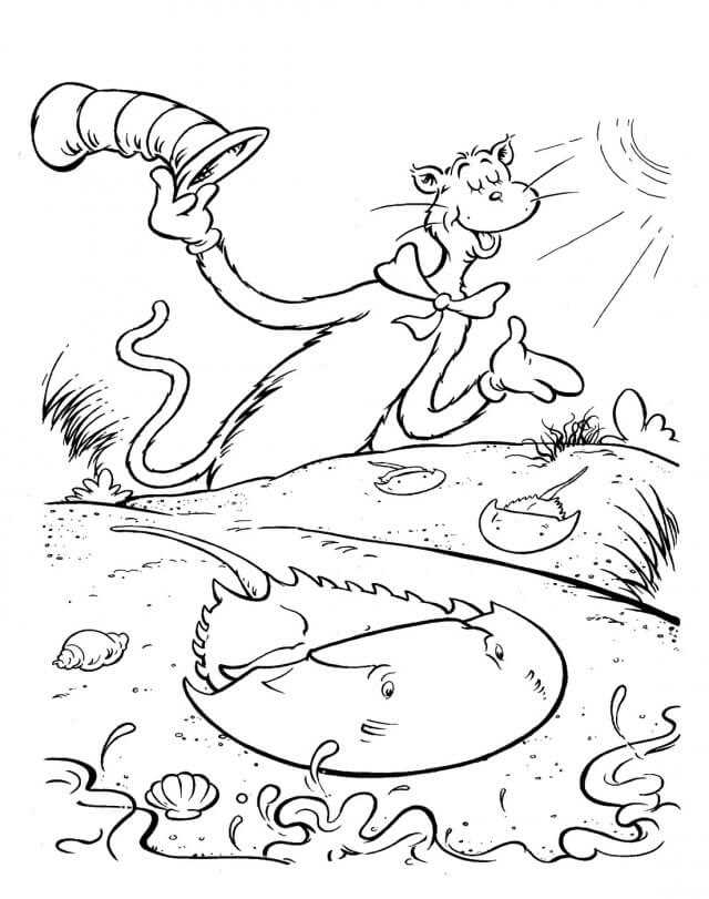 cat in the hat free printable coloring pages cat in the hat free printable coloring pages