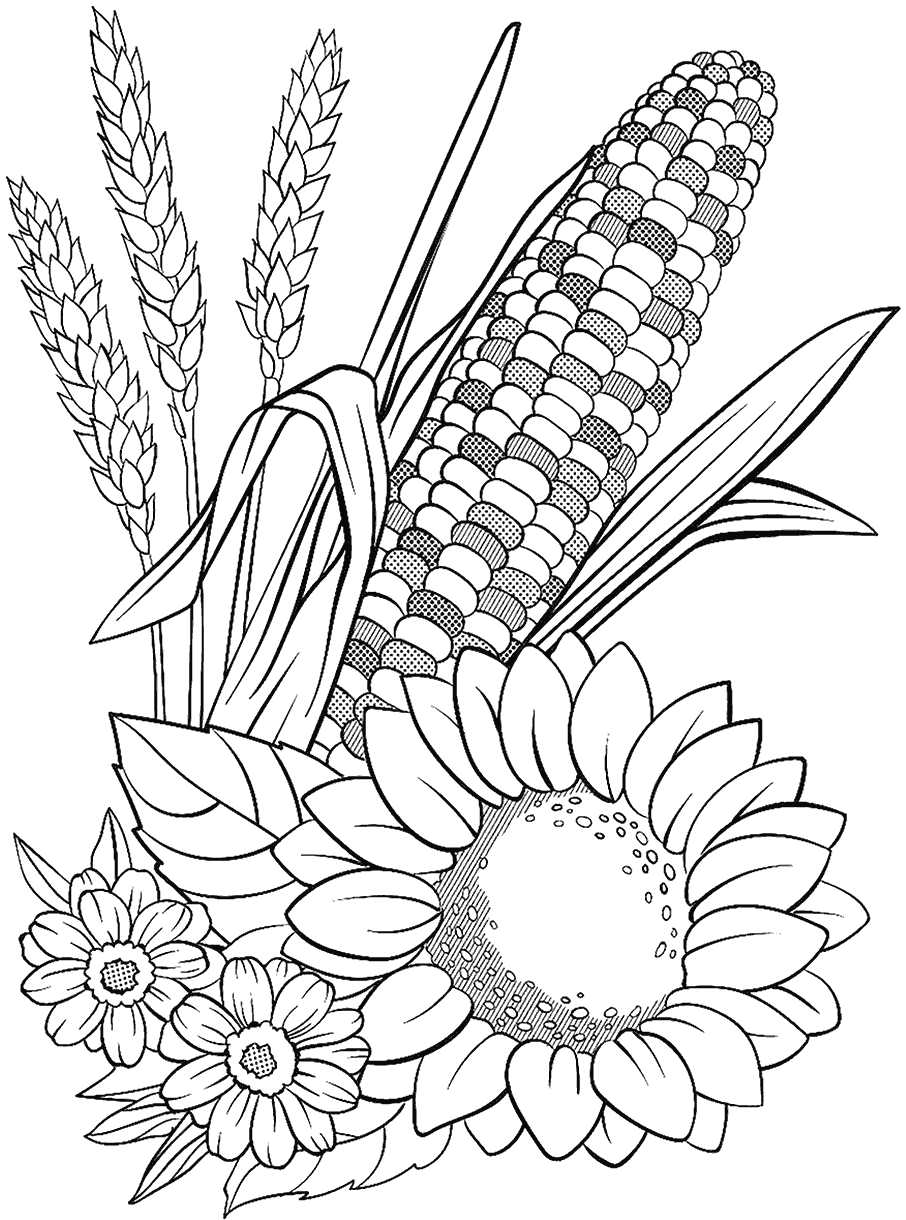 corn coloring pages printable corn coloring pages printable