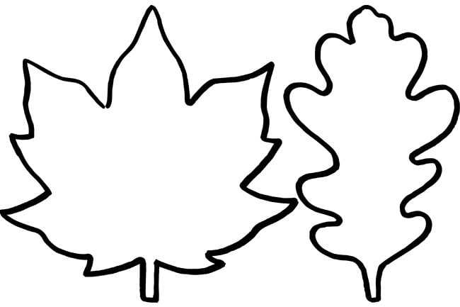 fall leaves printable pictures fall leaves printable pictures