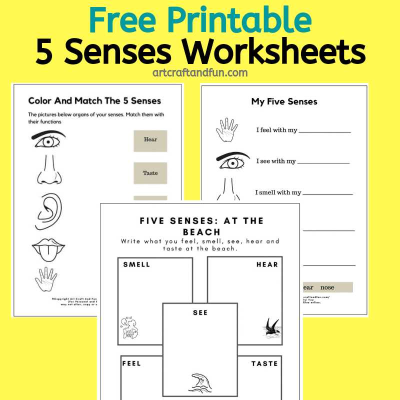 five senses free printables