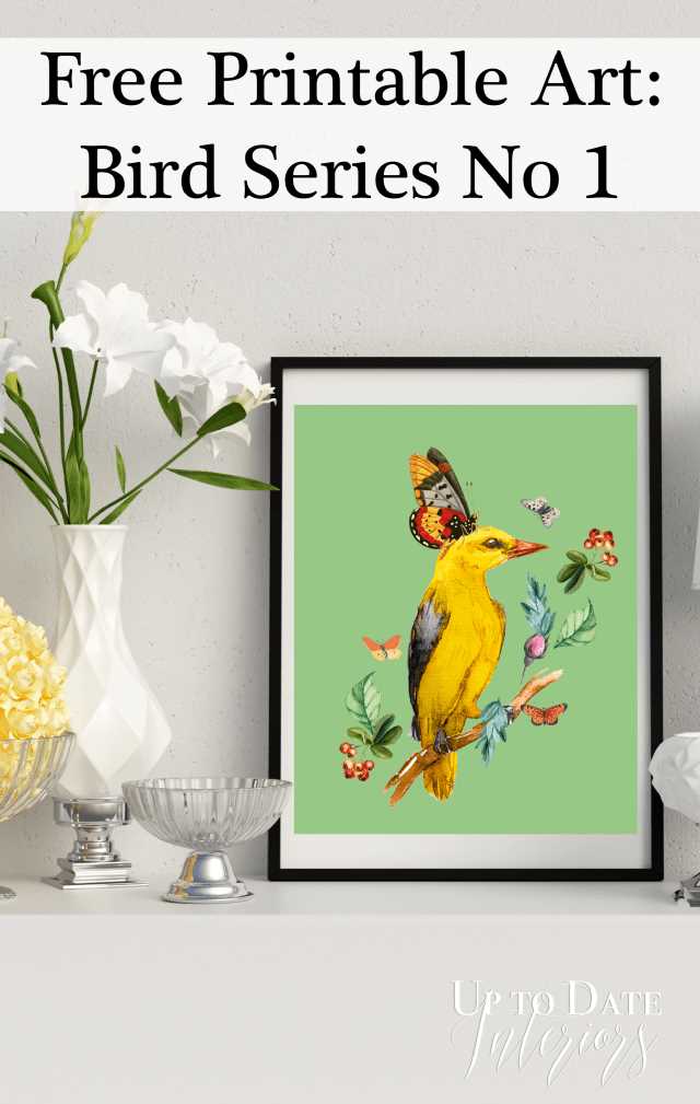free printable bird images free printable bird images