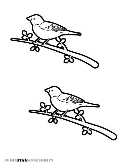free printable bird template