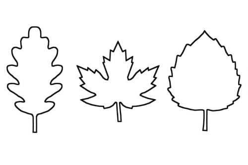 free printable coloring pages of leaves