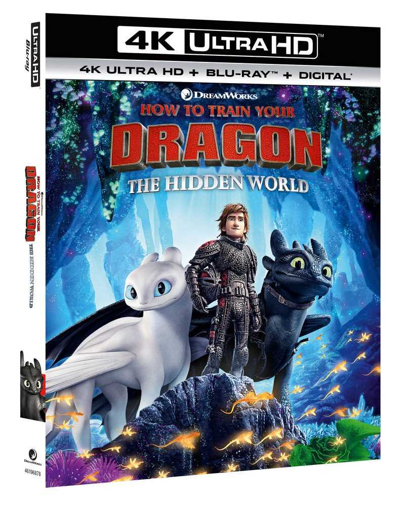 free printable how to train your dragon