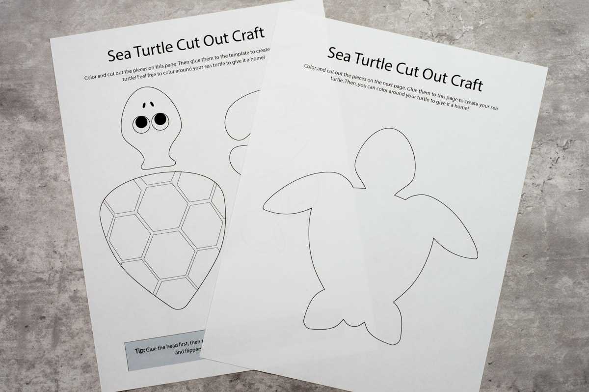 free printable turtle template free printable turtle template