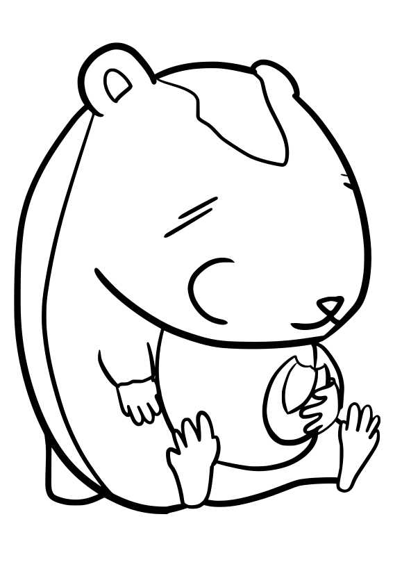 hamster coloring pages printable hamster coloring pages printable