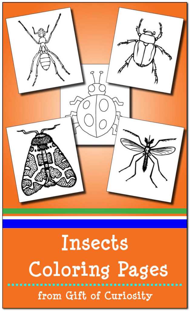 insect coloring pages printable