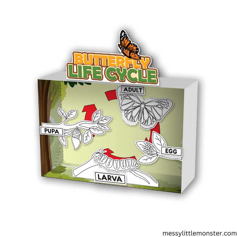 life cycle of a butterfly printable life cycle of a butterfly printable