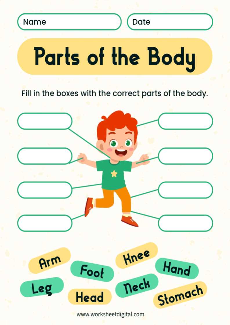 parts of the body printable parts of the body printable