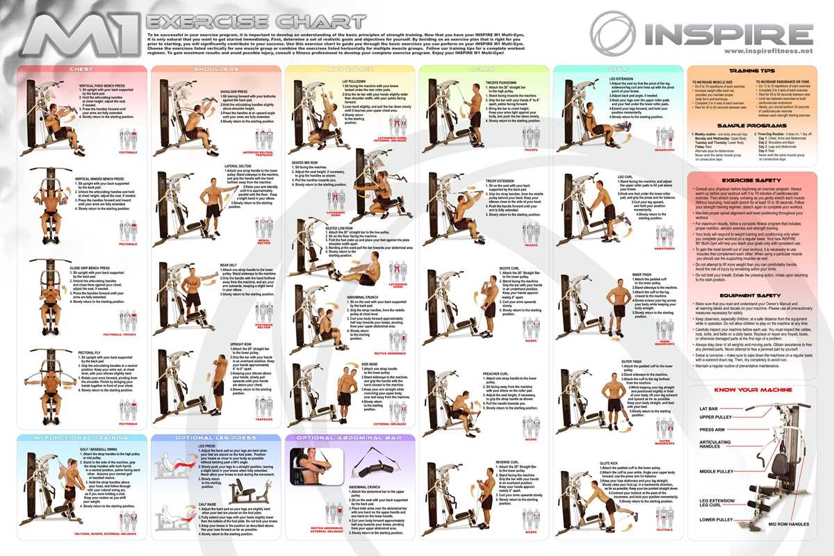 printable bowflex workout chart printable bowflex workout chart