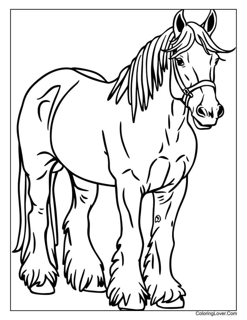 printable coloring pictures of horses printable coloring pictures of horses
