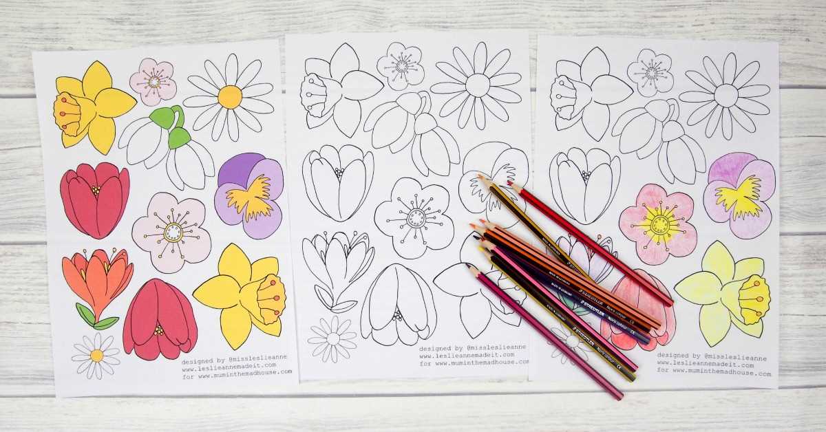printable flower color pages printable flower color pages