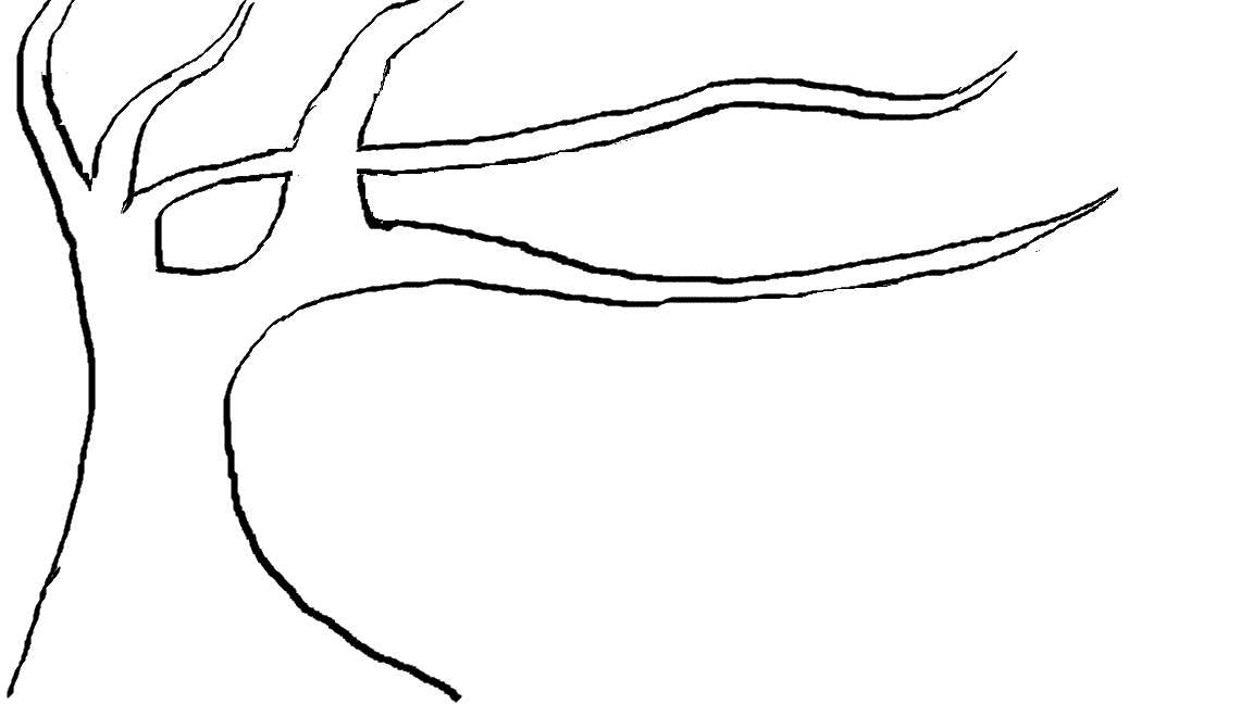 printable outlines of trees printable outlines of trees