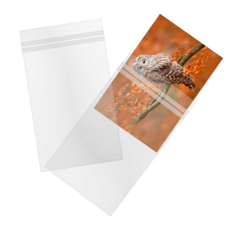 printable plastic bags