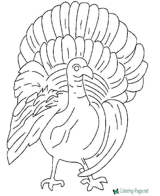 printable turkey for coloring printable turkey for coloring