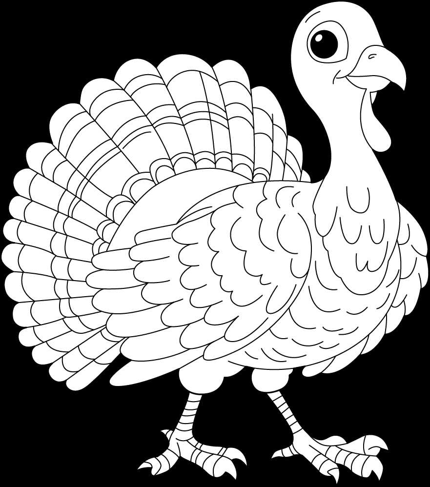 printable turkey pictures