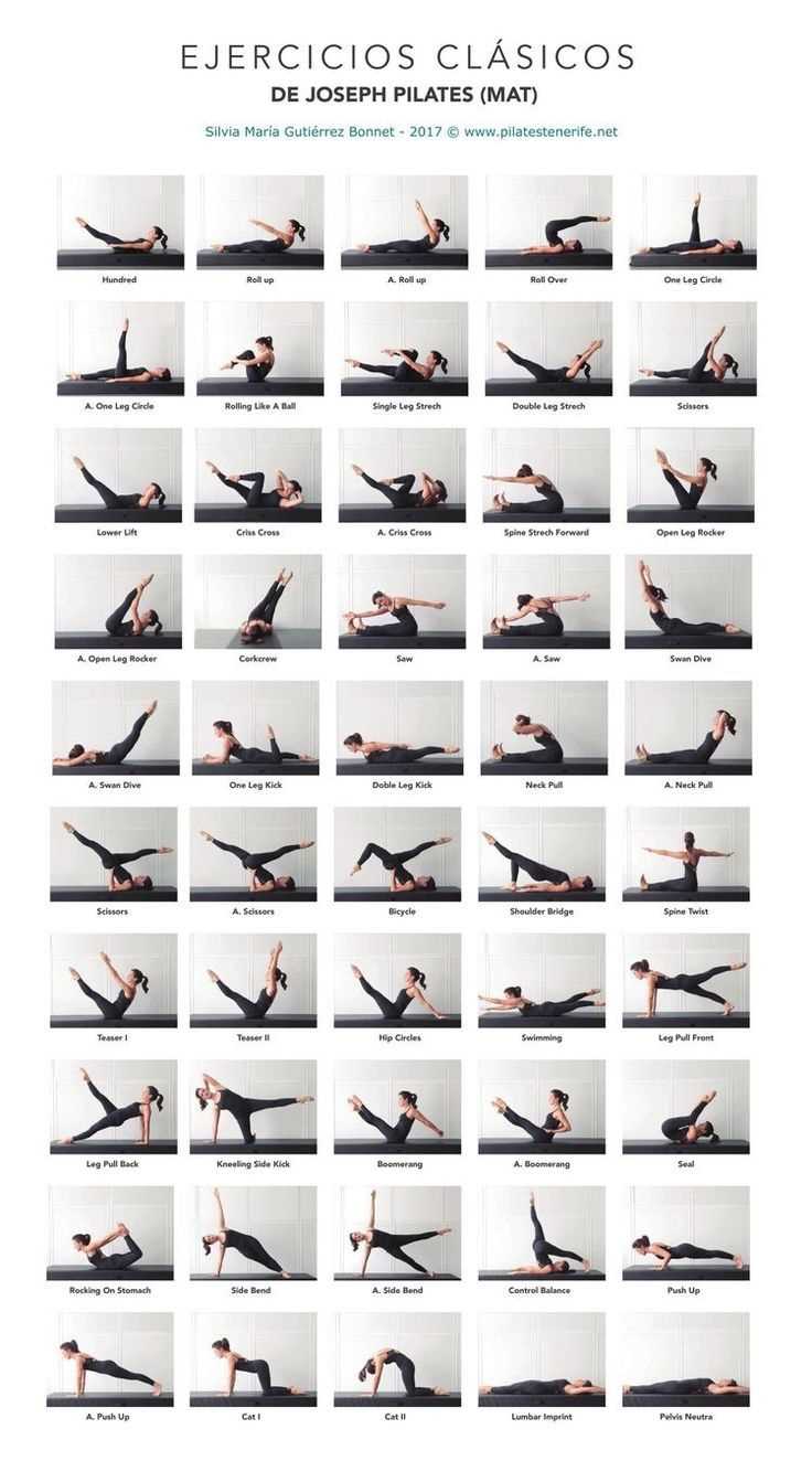 printable wall pilates chart