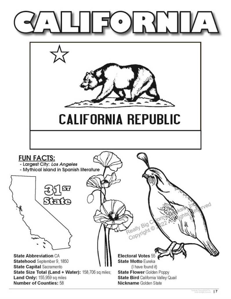 state flag of california printable