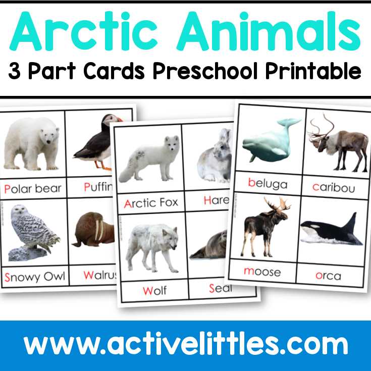 arctic animals preschool printables arctic animals preschool printables