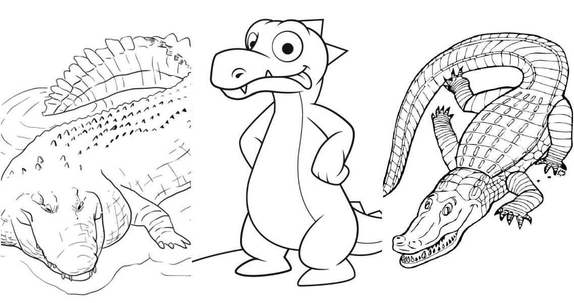 alligator coloring pages printable