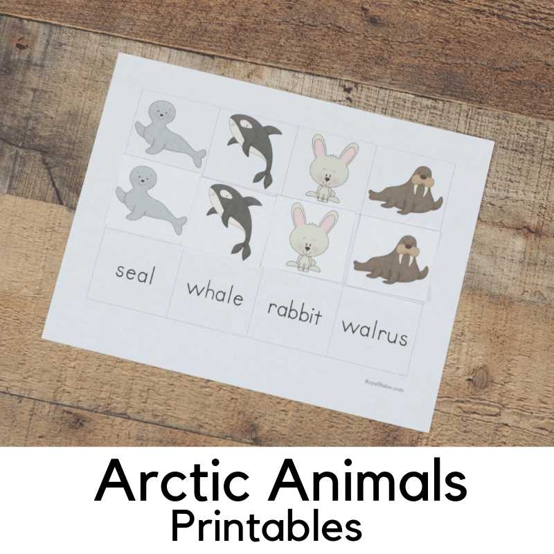 arctic animals preschool printables arctic animals preschool printables