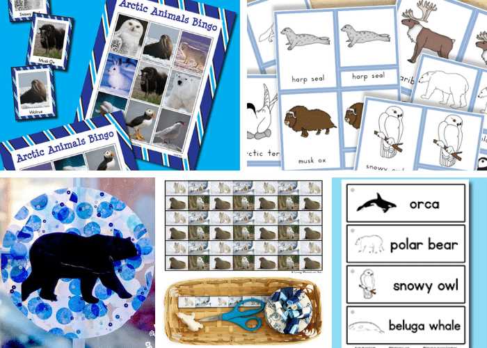 arctic animals preschool printables arctic animals preschool printables