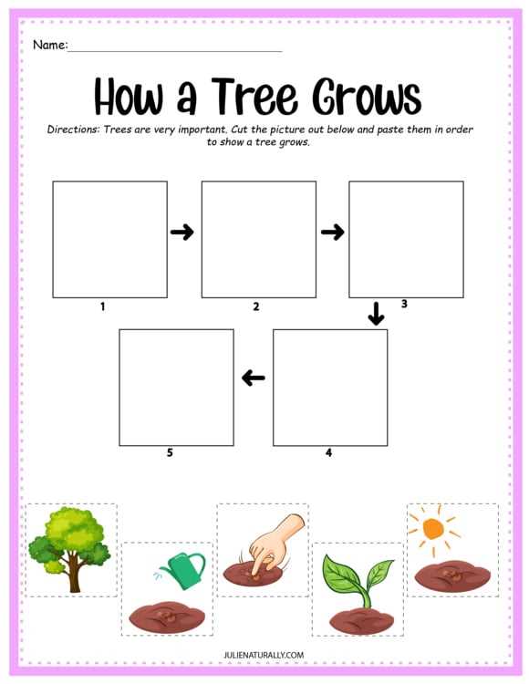 tree life cycle printable tree life cycle printable