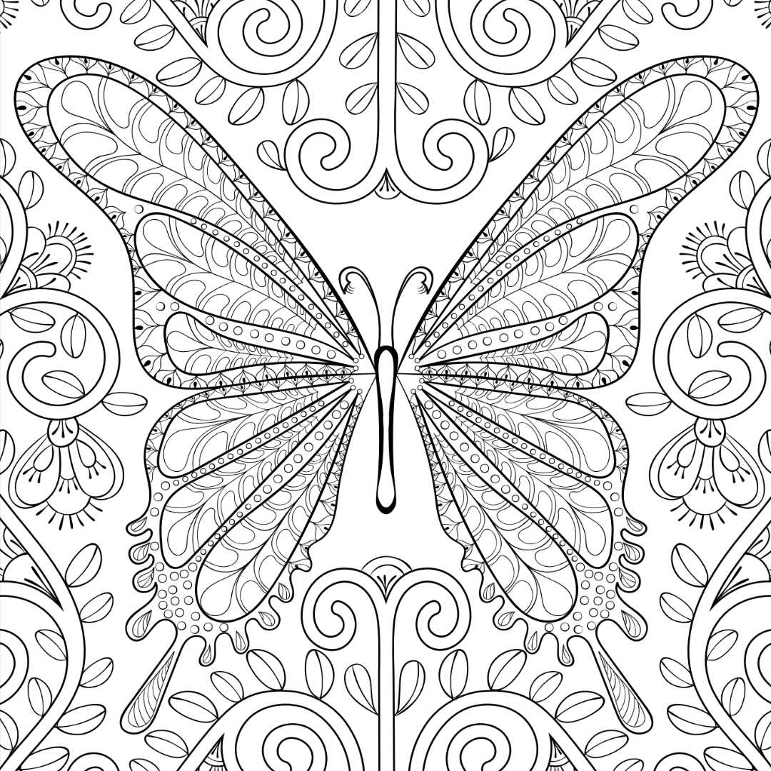 butterfly printable coloring page
