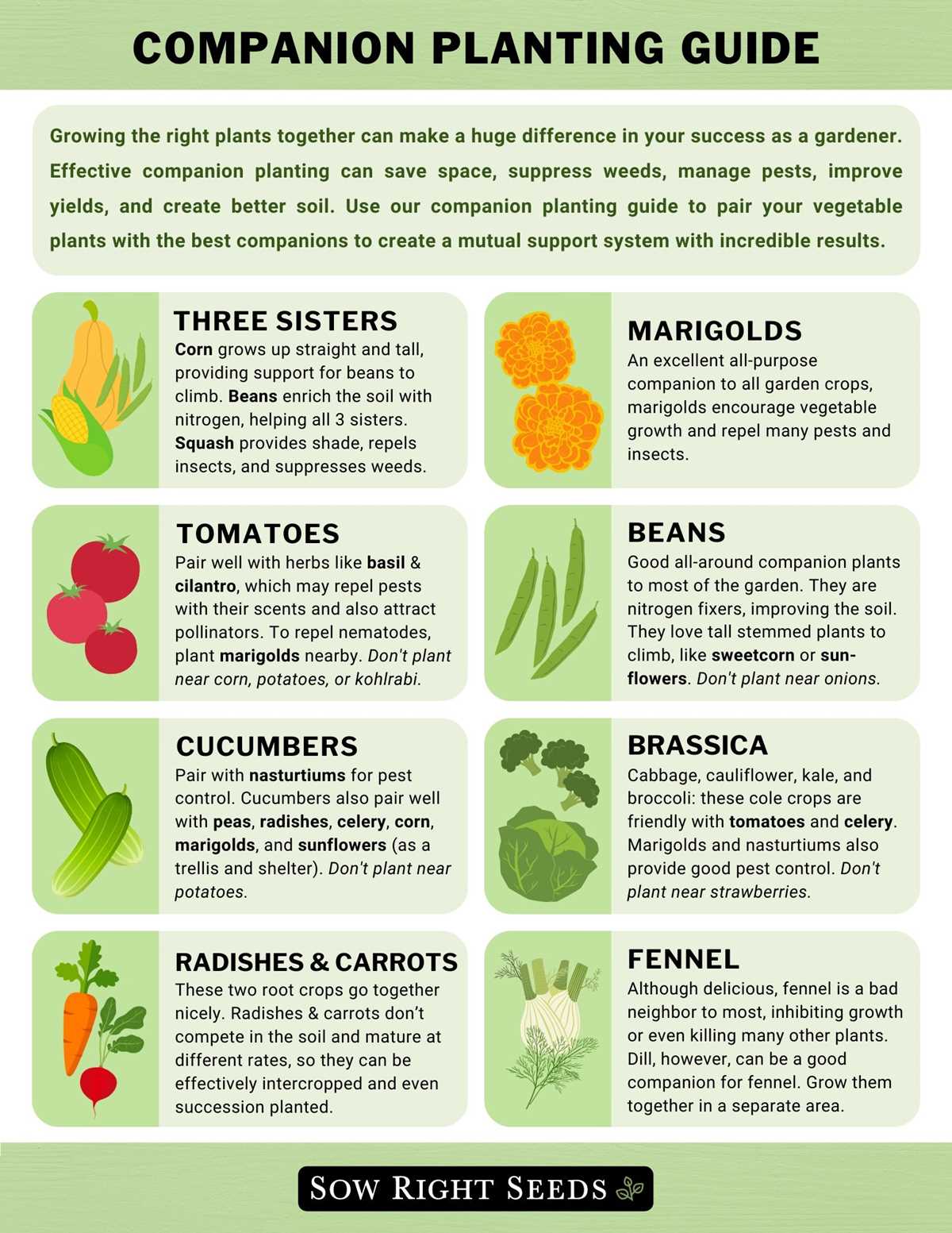 companion planting chart printable companion planting chart printable