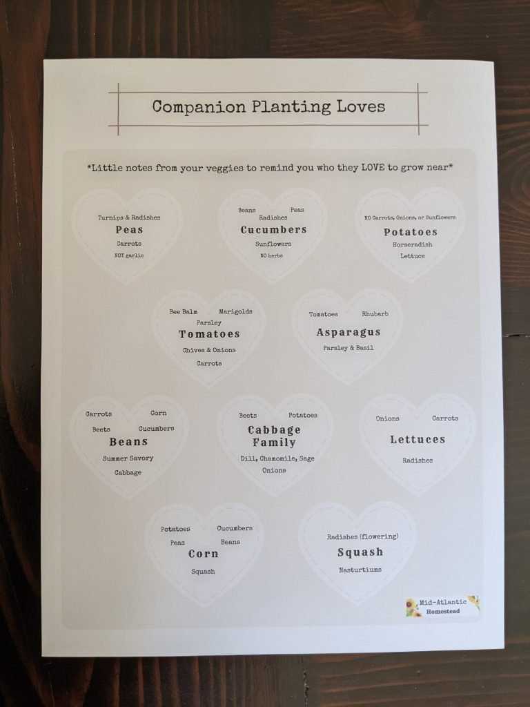 companion planting chart printable companion planting chart printable