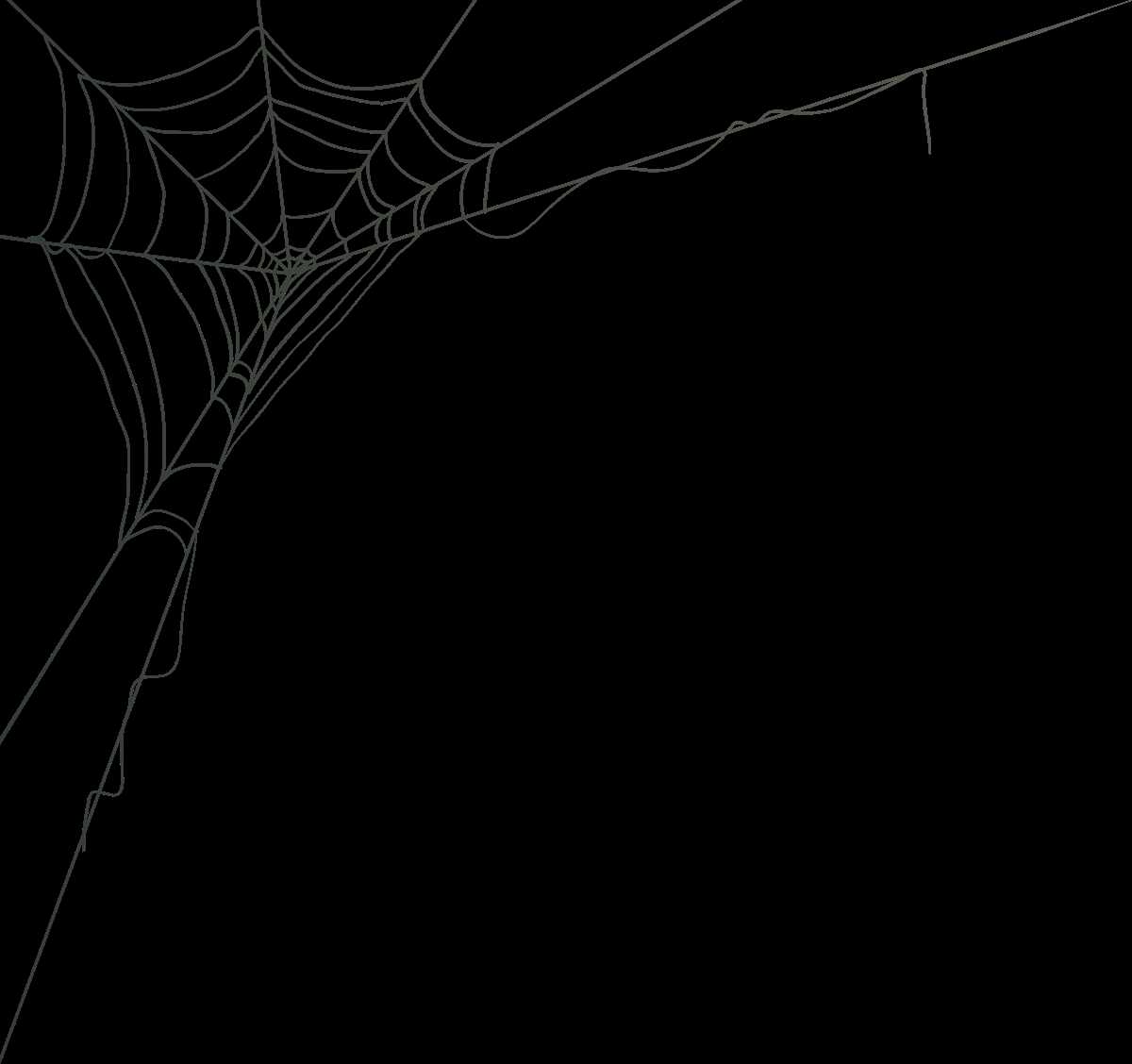 corner spider web printable corner spider web printable