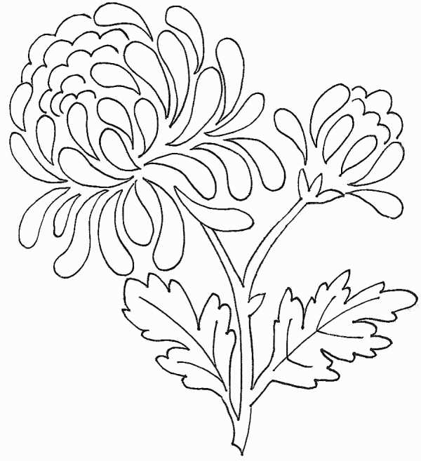 free printable flower templates free printable flower templates