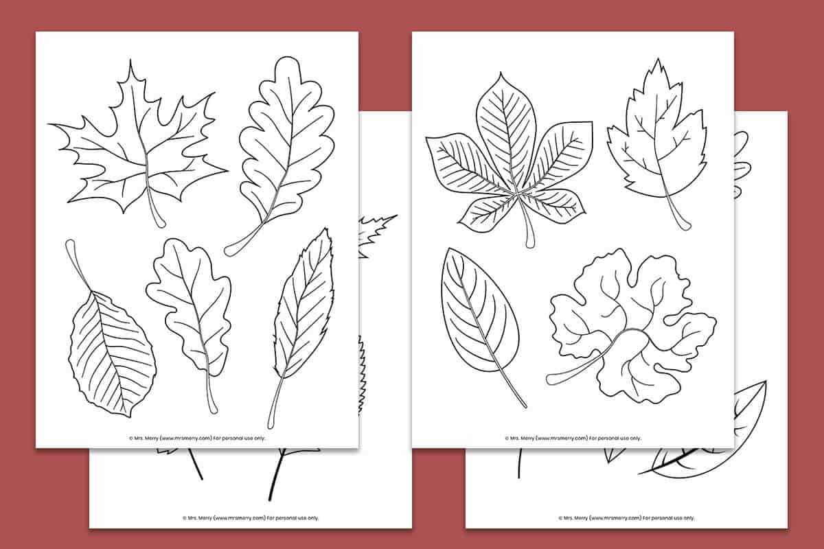 fall coloring sheets printable free