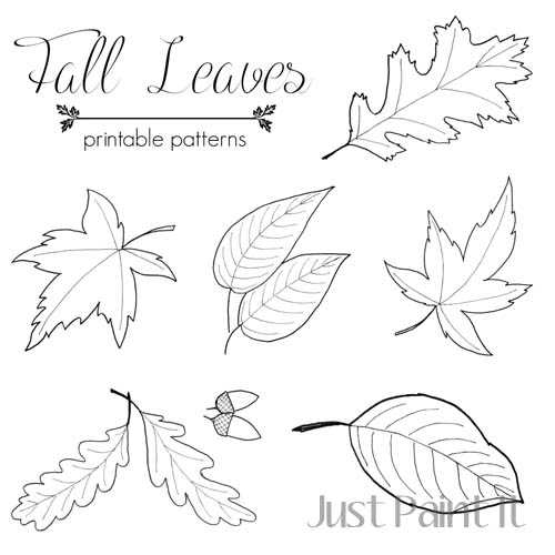 fall leaves printable pictures fall leaves printable pictures