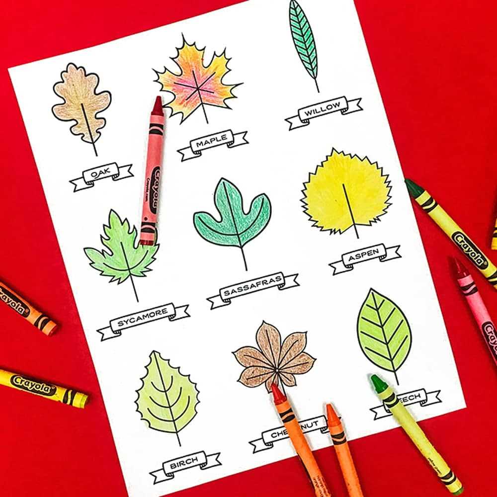 free autumn leaf printables free autumn leaf printables