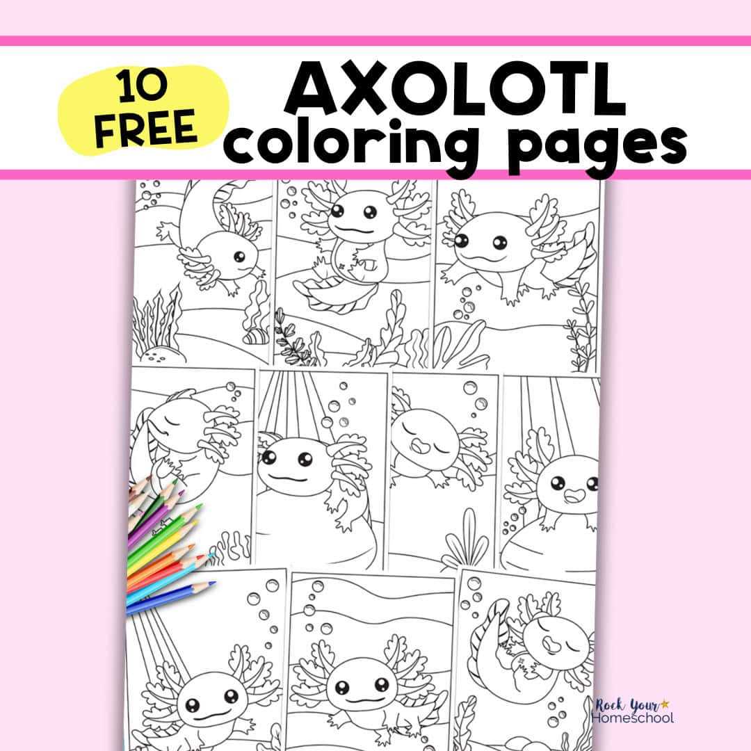 free printable axolotl coloring pages free printable axolotl coloring pages