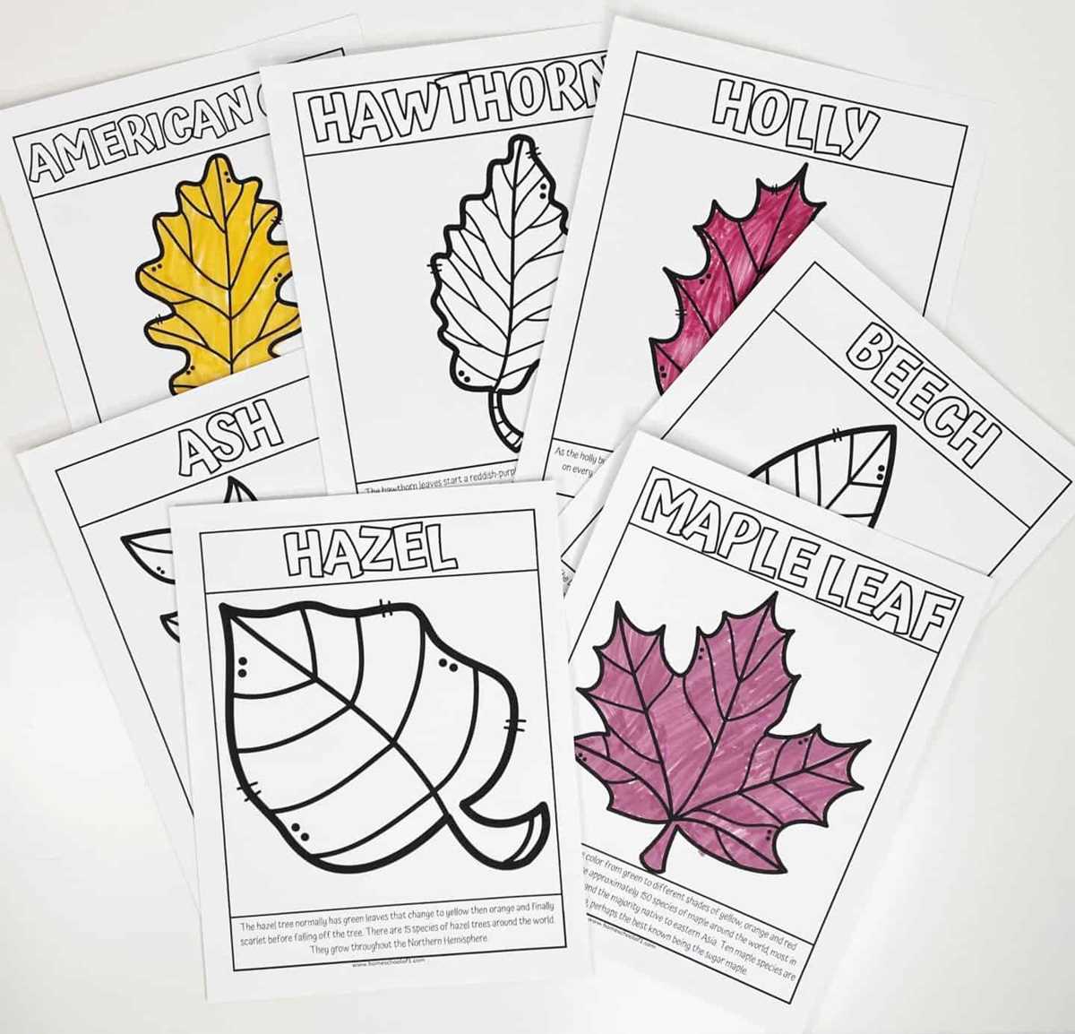 free printable coloring pages of leaves