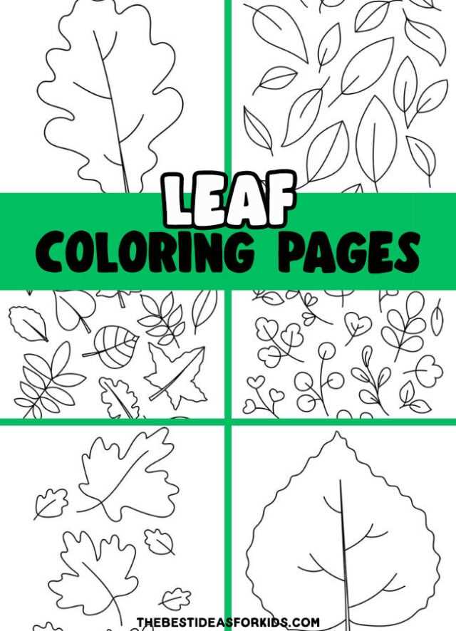 free printable coloring pages of leaves