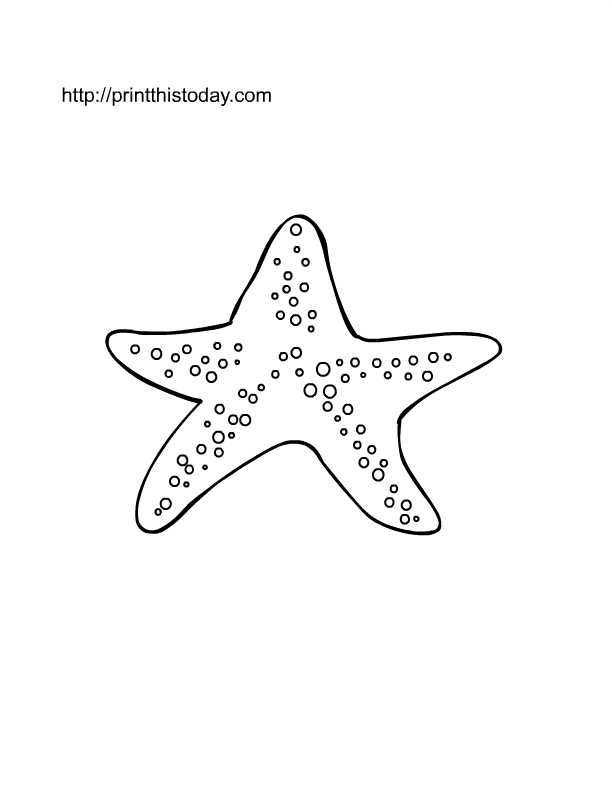 free printable coloring pages sea creatures free printable coloring pages sea creatures