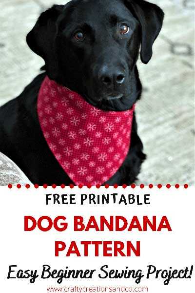 free printable dog dog onesie pattern