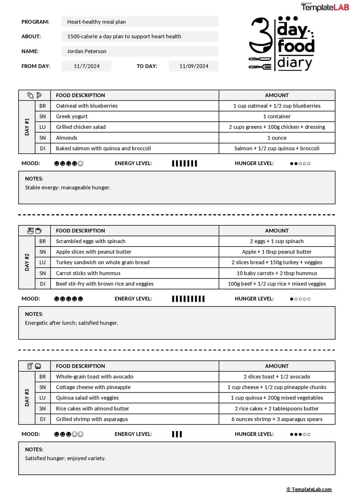 free printable food log template free printable food log template
