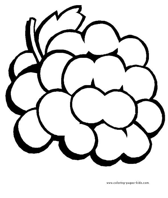 free printable fruit coloring pages free printable fruit coloring pages