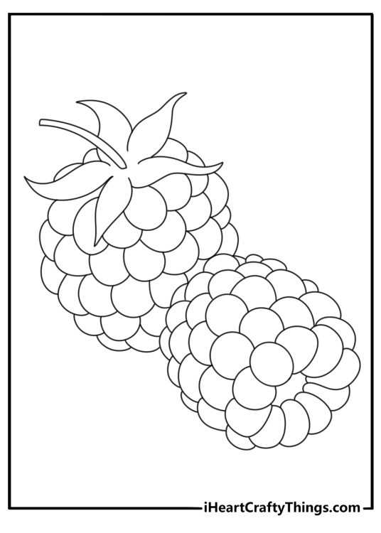 free printable fruit coloring pages free printable fruit coloring pages