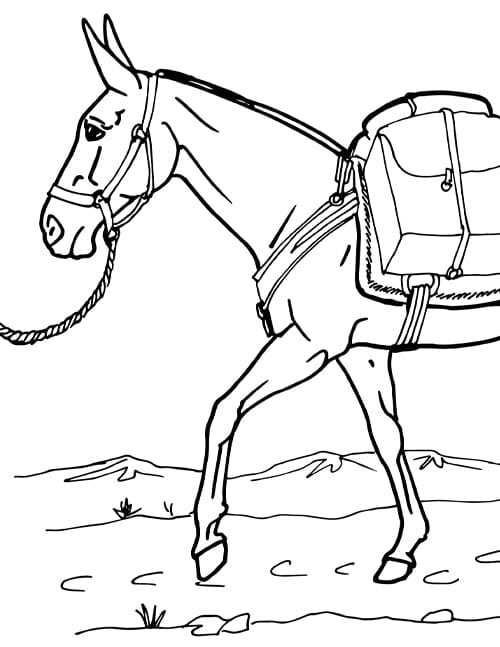 free printable horse coloring page free printable horse coloring page