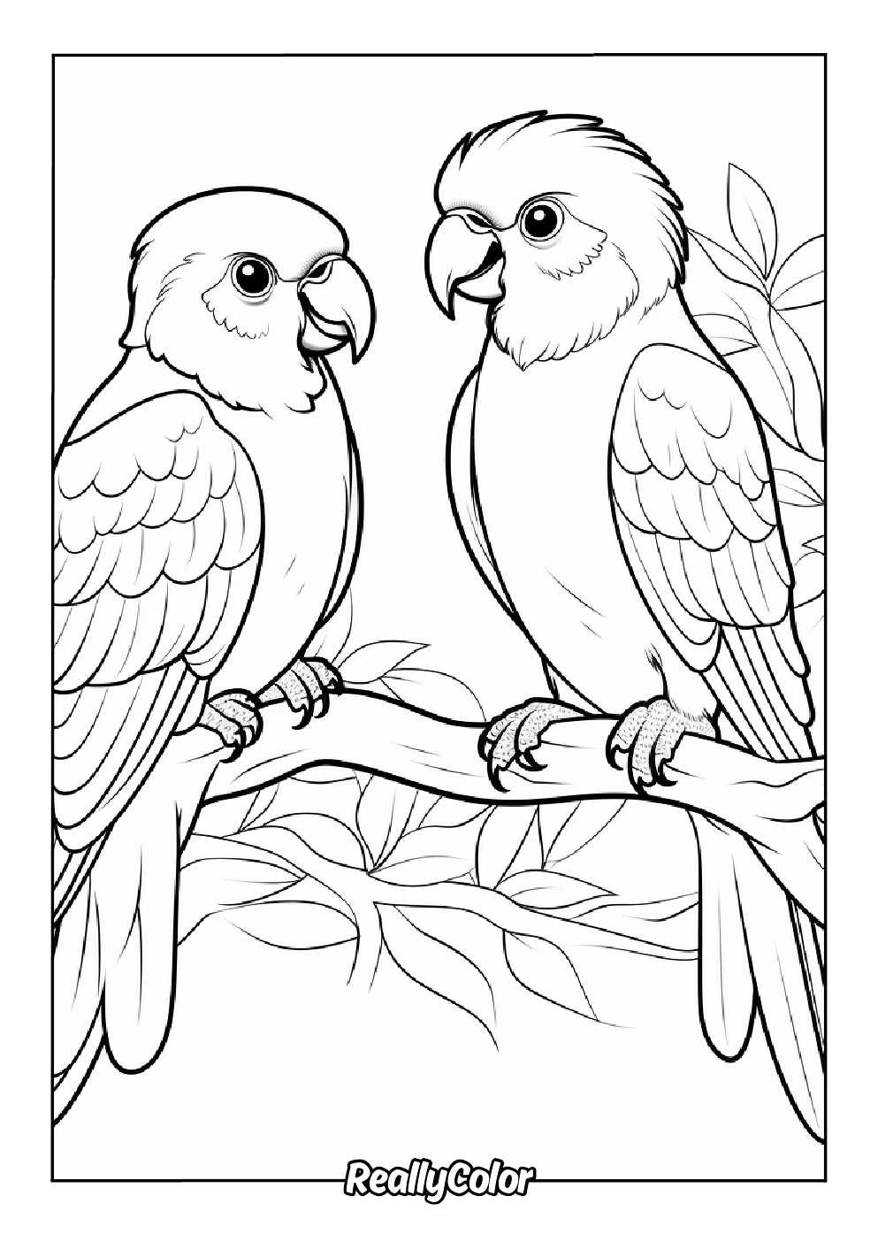 free printable pictures of birds to color