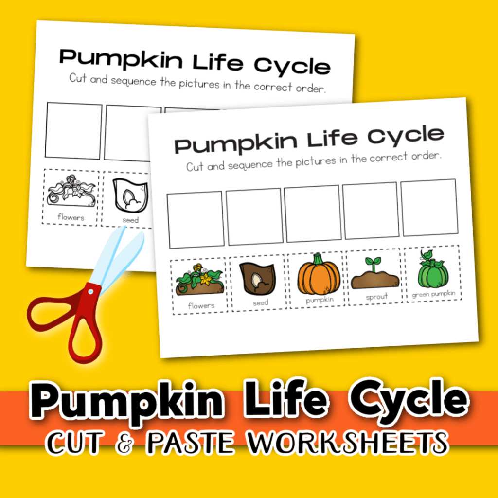 free printable pumpkin life cycle free printable pumpkin life cycle