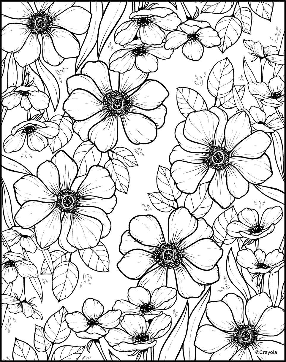 full size printable coloring pages full size printable coloring pages